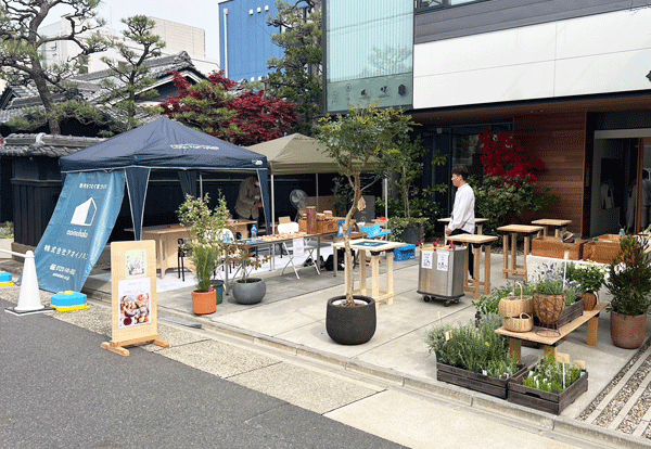 アオイノハコの定期イベント