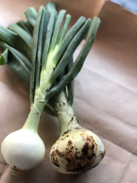 八百屋パンチさんの野菜