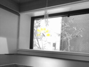 二階の窓から見える景色